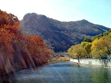 揭阳打胎什么药好点（打胎比较好的药）